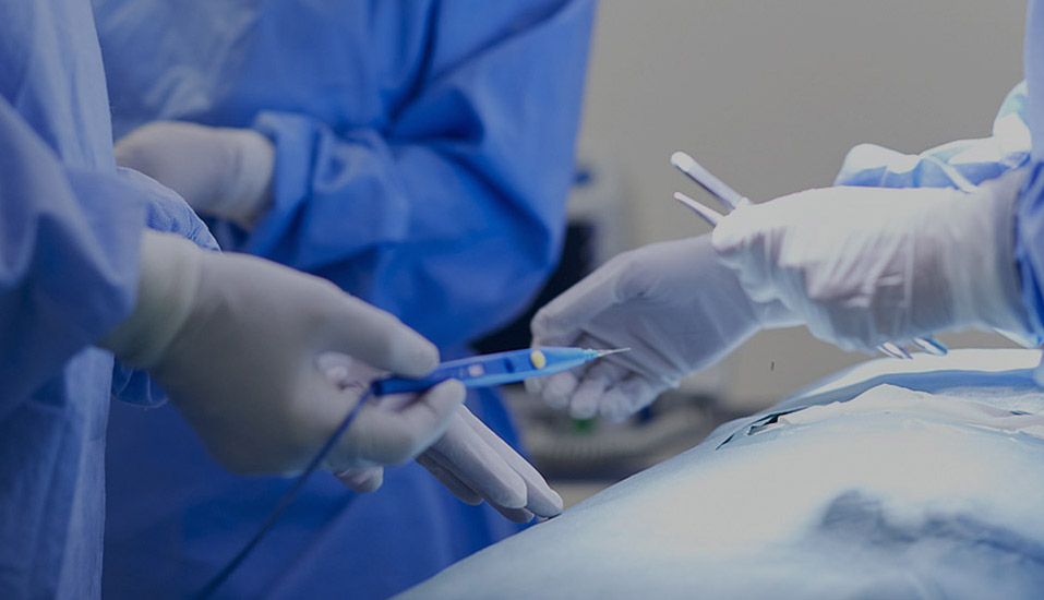 Eray Medical Technology (Nantong) Co., Ltd.